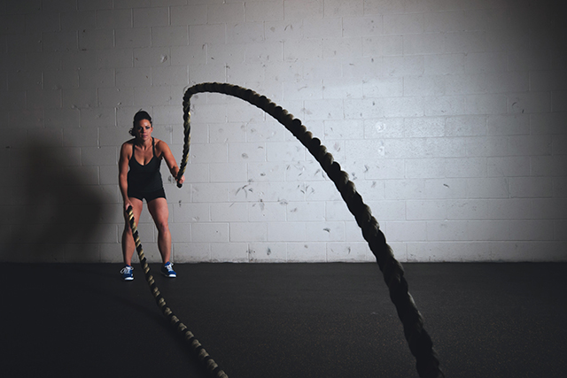 Gym Ropes