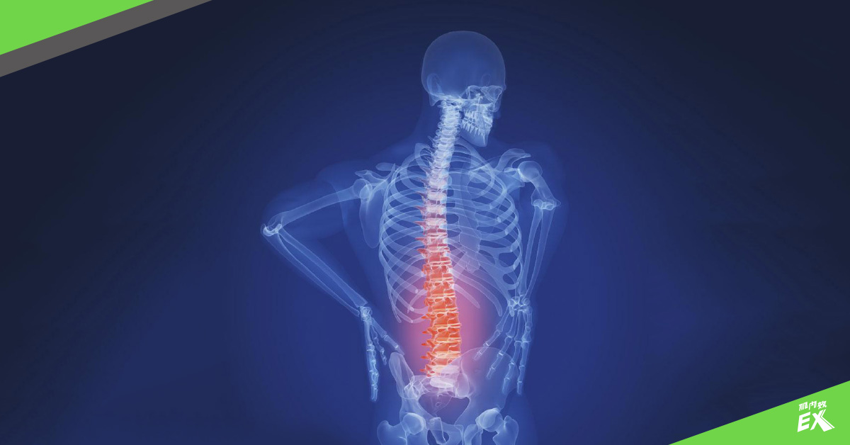 搞懂6大正確姿勢養好脊椎告別腰酸背痛