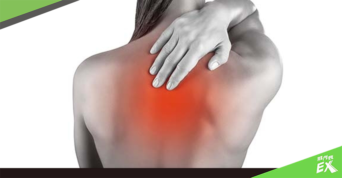 別再讓背痛影響你的生活 全面瞭解四種背痛三大解決方法