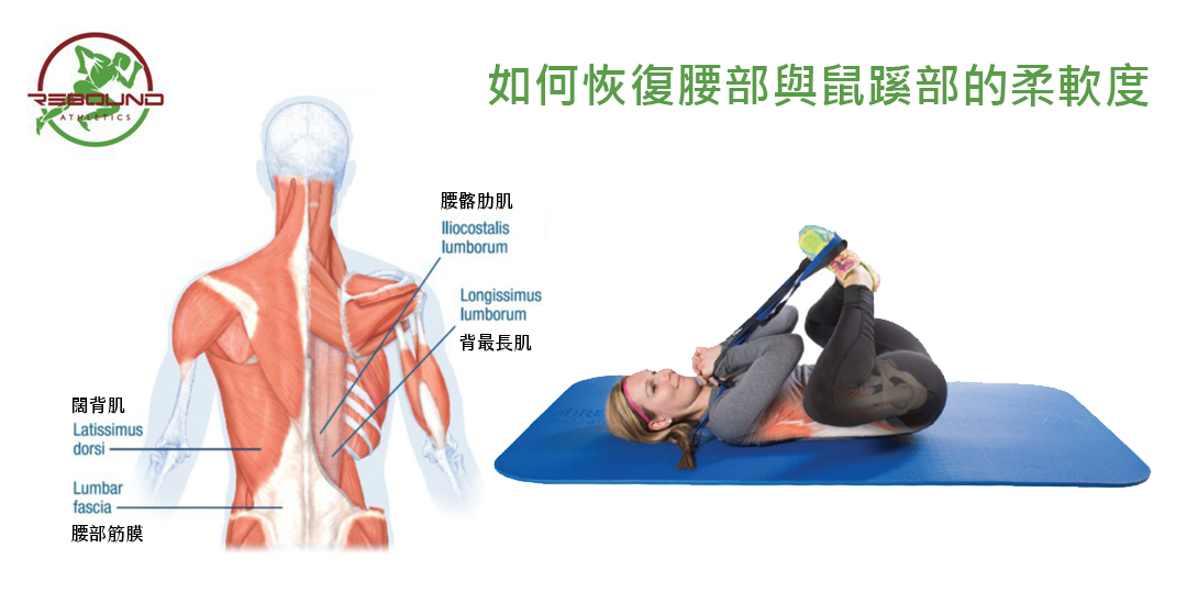 下背痛 治療 示範 圖片 腰部