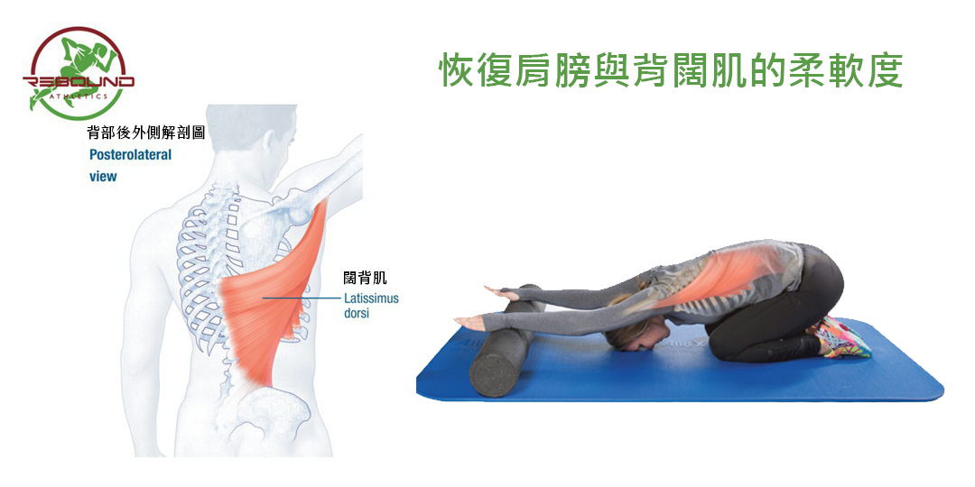 下背痛 治療 示範 圖片 闊背肌伸展