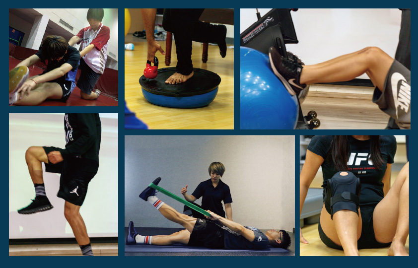 前十字韌帶損傷 11