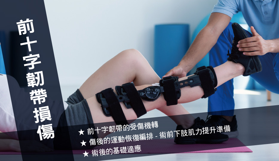 前十字韌帶損傷 6