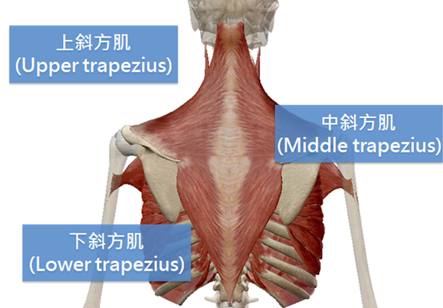 圖片6